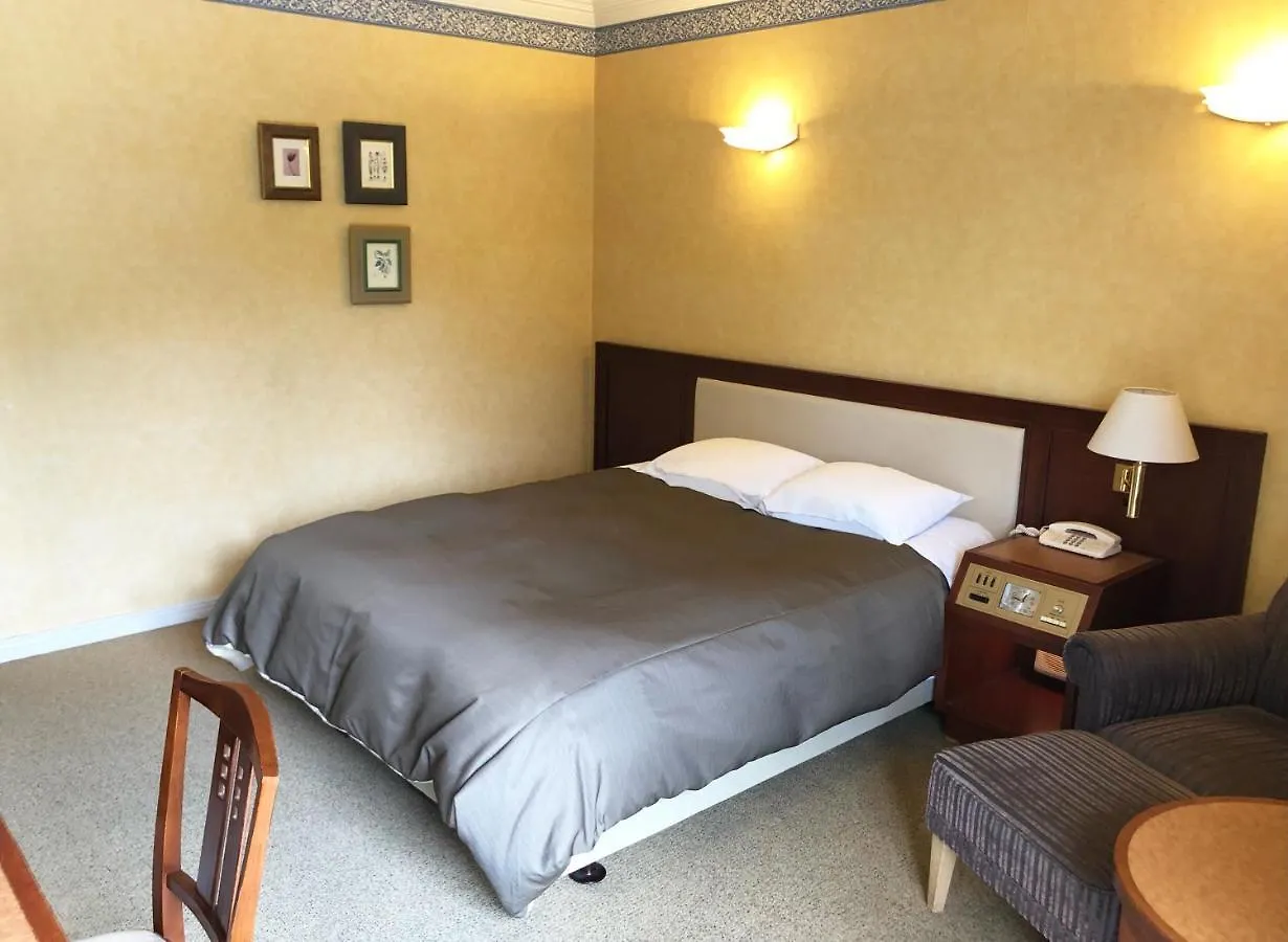 ****  Art Hotel Narita Japan